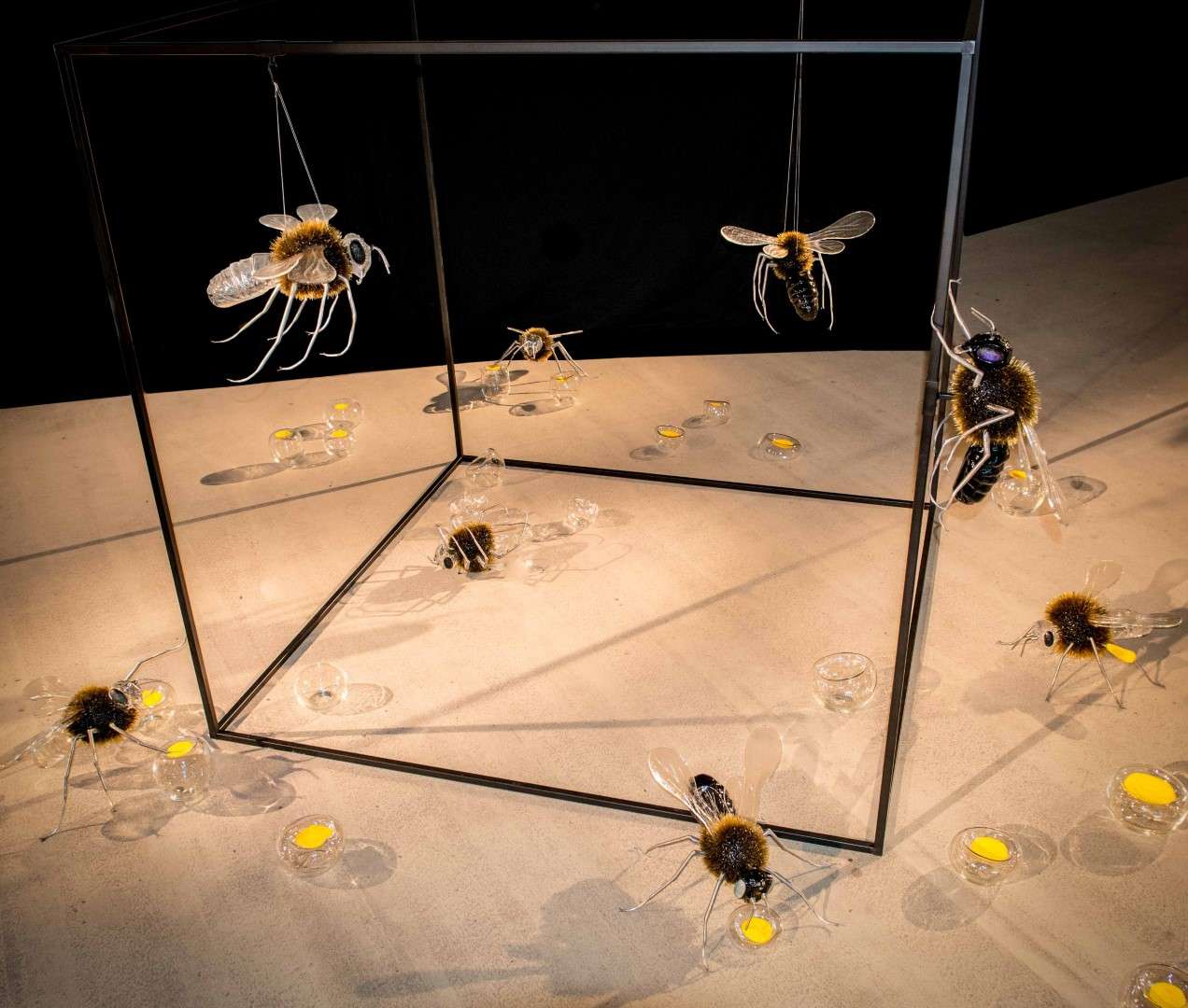 Bijen web-340 (Groot)